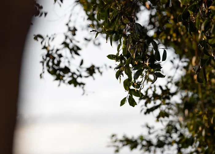 Luxury Cave By The Sea Appartement